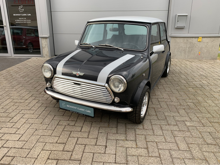 /assets/aanbod/mini-1000-1991/large/IMG_3134.jpg
